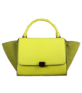 Celine Iridescent Yellow Snake Veins Leather Stamped Trapeze Bag
