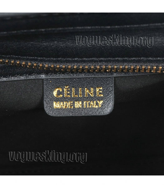 Celine Nano 20cm Small Tote Handbag Offwhite Snake Veins With Black/Wine Red Original Leather-5