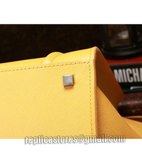 Celine Phantom Square Bag Yellow Original Palm Print Leather-5