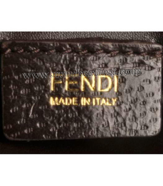 Fendi Canvas with Coffee Leather Chain Bag-5