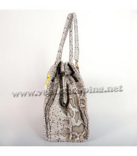 Fendi Firenze Frame Bag in Light Grey Snake Print Leather-3
