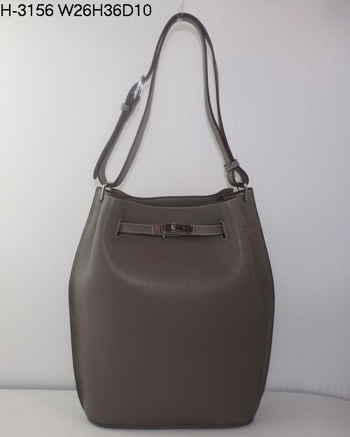Hermes 2010 Collection Long Handbag in Khaki