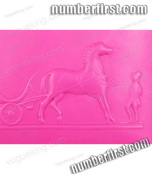 Hermes Horse-drawn Carriage Fuchsia Plain Veins Bag Golden Metal-3