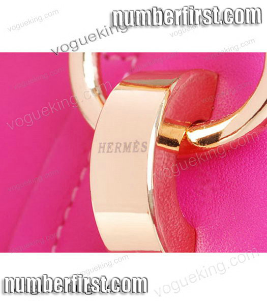 Hermes Horse-drawn Carriage Fuchsia Plain Veins Bag Golden Metal-6