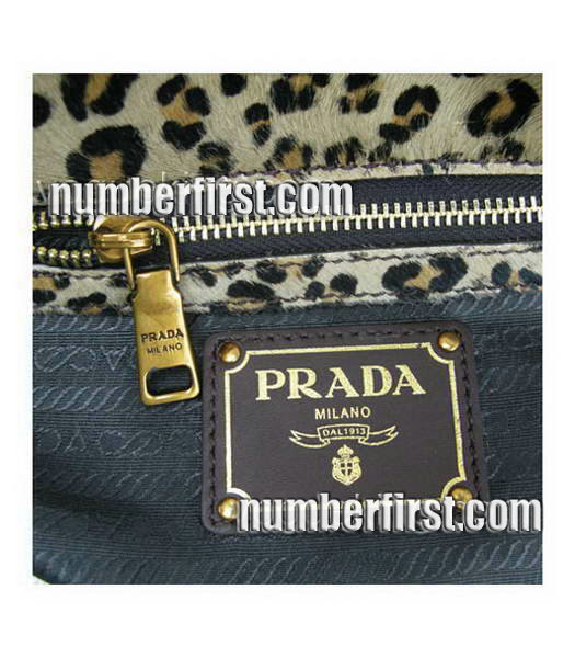 Prada Tote Handbag Leopard Grain leather-7